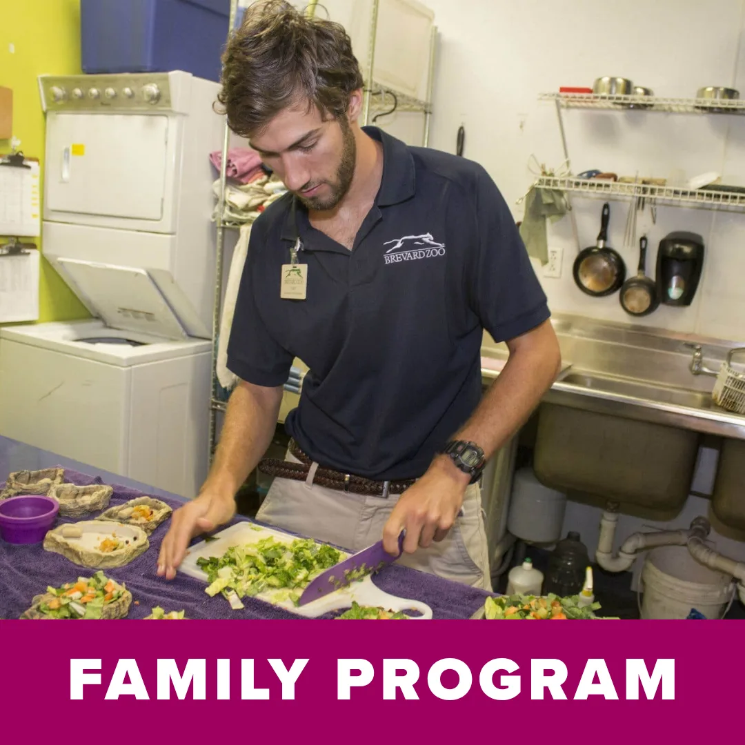 Family Program: Thanksgiving at the Zoo