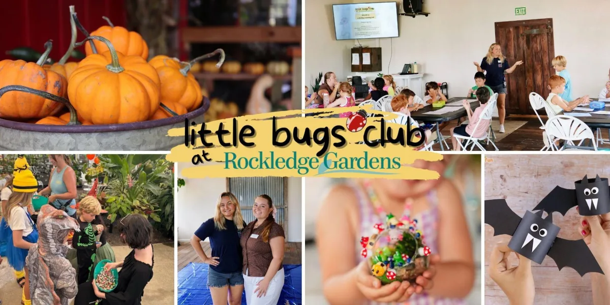 Little Bugs Learning Lab (November)